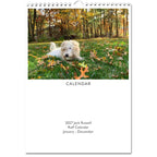 Jack Russell Terrier 2027 Calendars