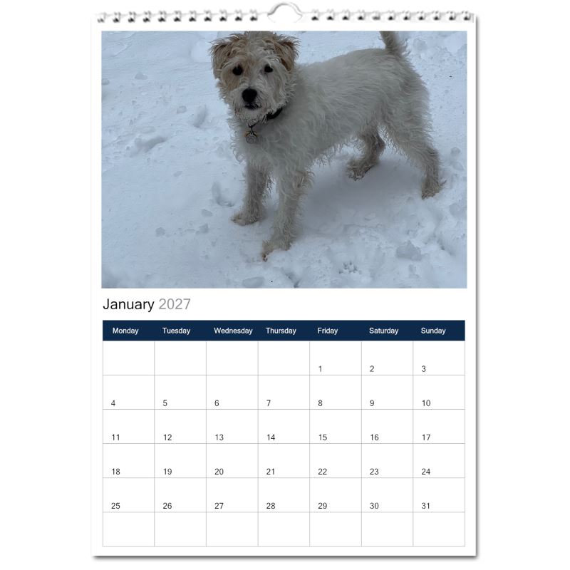 Jack Russell Terrier 2027 Calendars