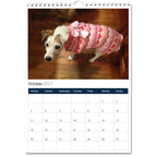 Jack Russell Terrier 2027 Calendars