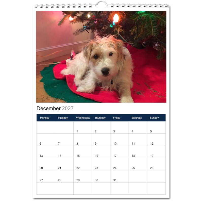 Jack Russell Terrier 2027 Calendars