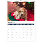 Jack Russell Terrier 2027 Calendars