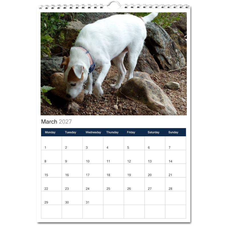 Jack Russell Terrier 2027 Calendars