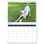 Jack Russell Terrier 2027 Calendars