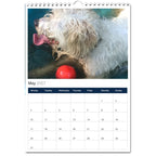 Jack Russell Terrier 2027 Calendars