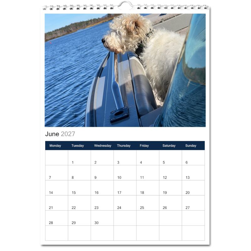 Jack Russell Terrier 2027 Calendars