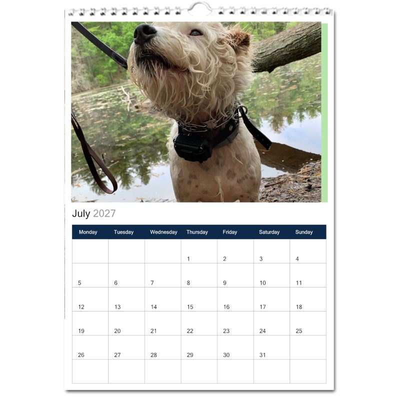 Jack Russell Terrier 2027 Calendars