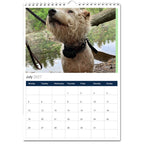 Jack Russell Terrier 2027 Calendars