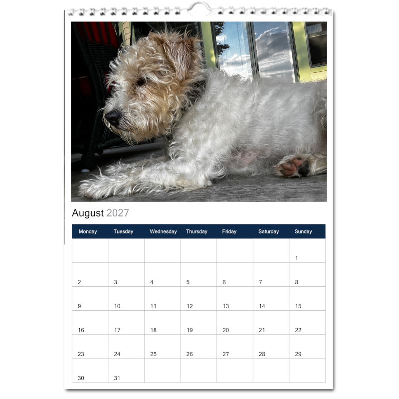 Jack Russell Terrier 2027 Calendars