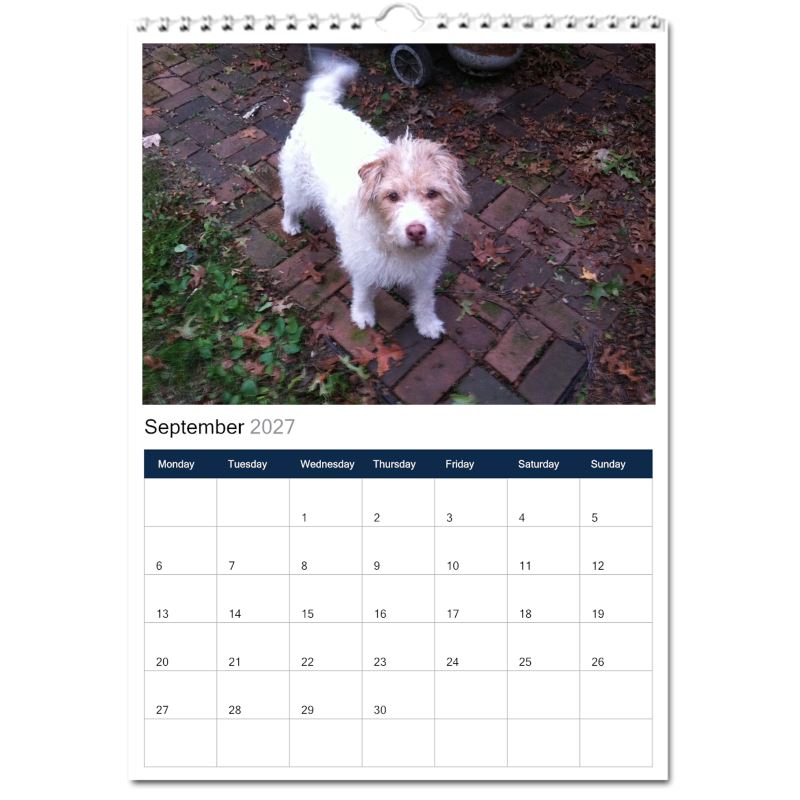 Jack Russell Terrier 2027 Calendars