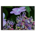 Soft Photo Books -Flowers Of Plenty- Edition One