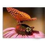 Soft Photo Books -Flowers Of Plenty- Edition One