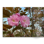 Soft Photo Books -Flowers Of Plenty- Edition One