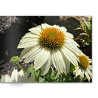 Soft Photo Books -Flowers Of Plenty- Edition One