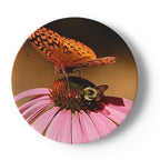 Butterfly and Birds in Nature on 6.5” China Plates