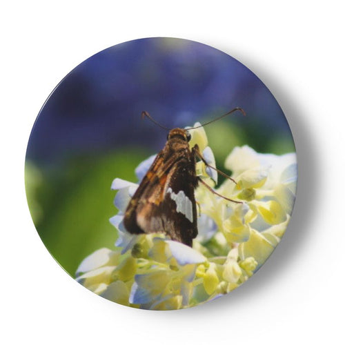 Butterfly and Birds in Nature on 6.5” China Plates