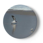 Butterfly and Birds in Nature on 6.5” China Plates