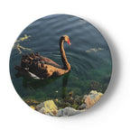 Butterfly and Birds in Nature on 6.5” China Plates