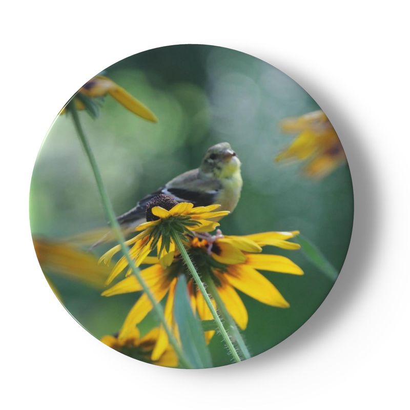 Butterfly and Birds in Nature on 6.5” China Plates