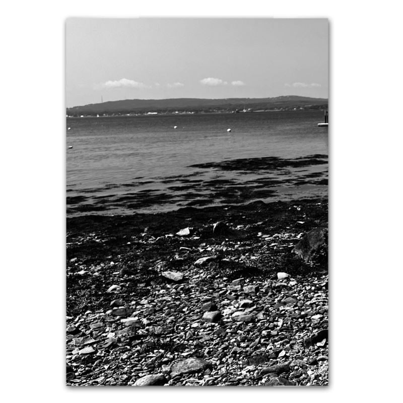 Crafted With Care Photography Soft Cover Photo Books (8.3" x 11.8'')