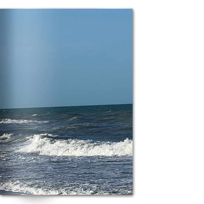Crafted With Care Photography Soft Cover Photo Books (8.3" x 11.8'')