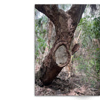 Crafted With Care Photography Soft Cover Photo Books (8.3" x 11.8'')