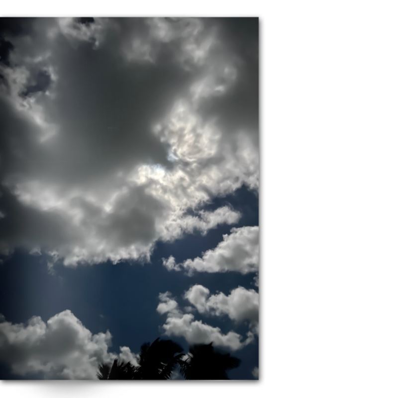 Crafted With Care Photography Soft Cover Photo Books (8.3" x 11.8'')