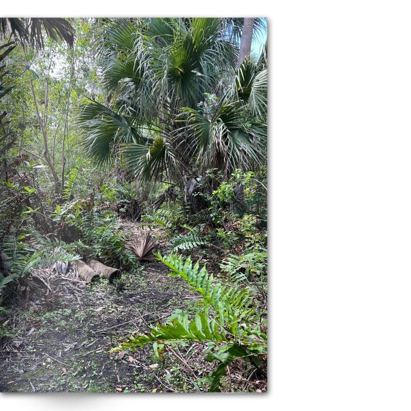 Crafted With Care Photography Soft Cover Photo Books (8.3" x 11.8'')