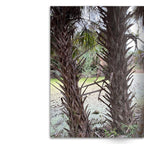 Crafted With Care Photography Soft Cover Photo Books (8.3" x 11.8'')