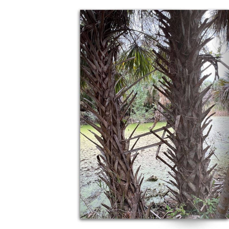 Crafted With Care Photography Soft Cover Photo Books (8.3" x 11.8'')