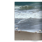 Crafted With Care Photography Soft Cover Photo Books (8.3" x 11.8'')