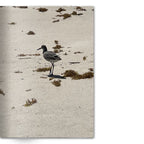 Crafted With Care Photography Soft Cover Photo Books (8.3" x 11.8'')