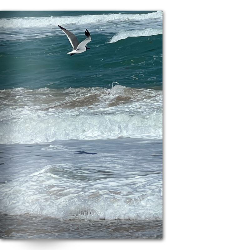 Crafted With Care Photography Soft Cover Photo Books (8.3" x 11.8'')