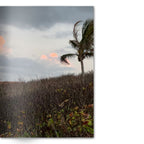 Crafted With Care Photography Soft Cover Photo Books (8.3" x 11.8'')