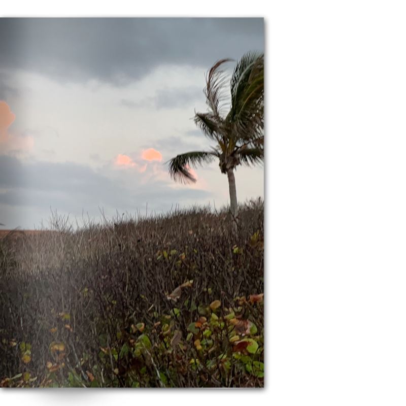 Crafted With Care Photography Soft Cover Photo Books (8.3" x 11.8'')