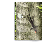 Crafted With Care Photography Soft Cover Photo Books (8.3" x 11.8'')