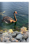 Crafted With Care Photography Soft Cover Photo Books (8.3" x 11.8'')