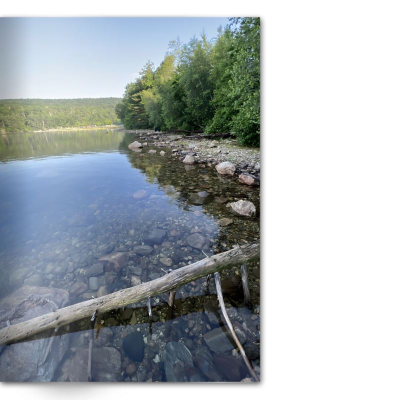 Crafted With Care Photography Soft Cover Photo Books (8.3" x 11.8'')