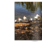 Crafted With Care Photography Soft Cover Photo Books (8.3" x 11.8'')