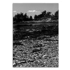 Crafted With Care Photography Soft Cover Photo Books (8.3" x 11.8'')