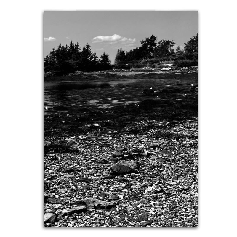 Crafted With Care Photography Soft Cover Photo Books (8.3" x 11.8'')