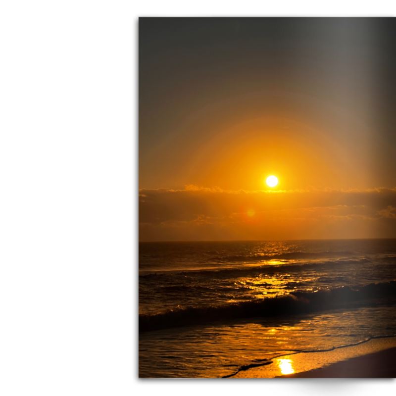 Crafted With Care Photography Soft Cover Photo Books (8.3" x 11.8'')