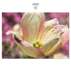 Flower 500 piece Jigsaw Puzzle